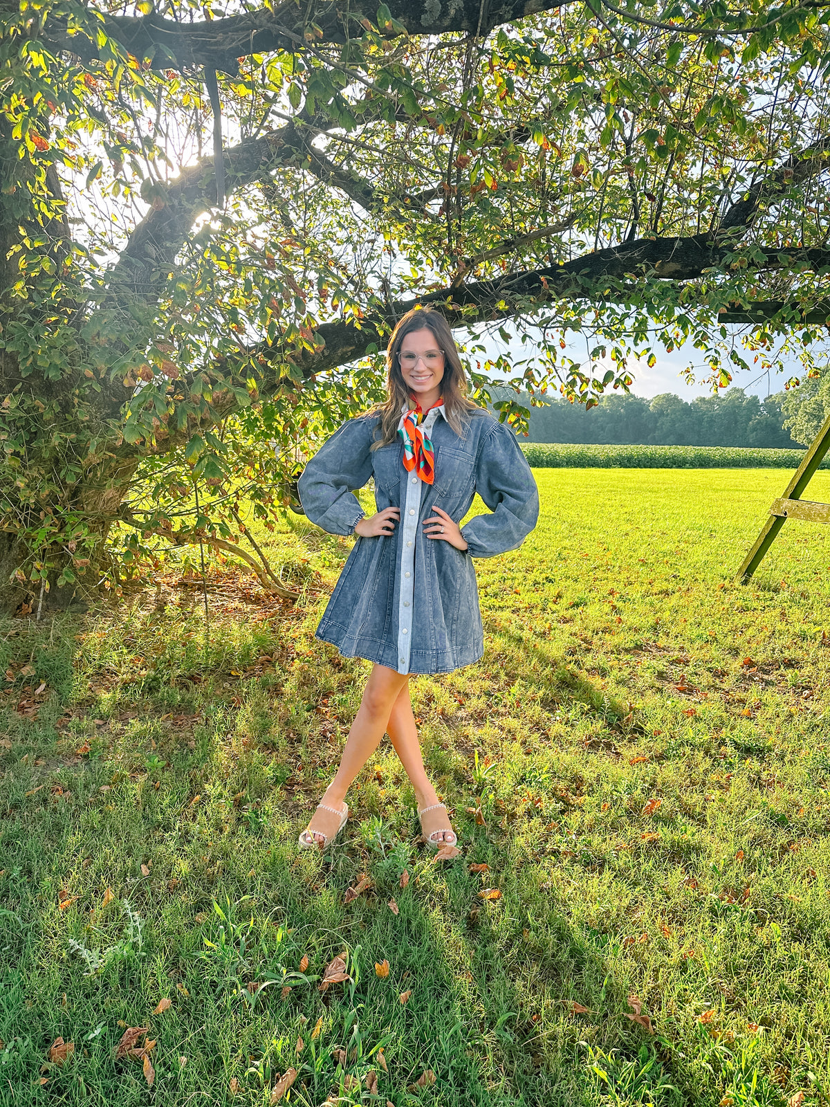 Dream Denim Dress